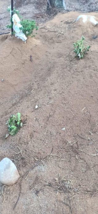 儿子脱水中暑亡 母悲痛:器官都“干”了…