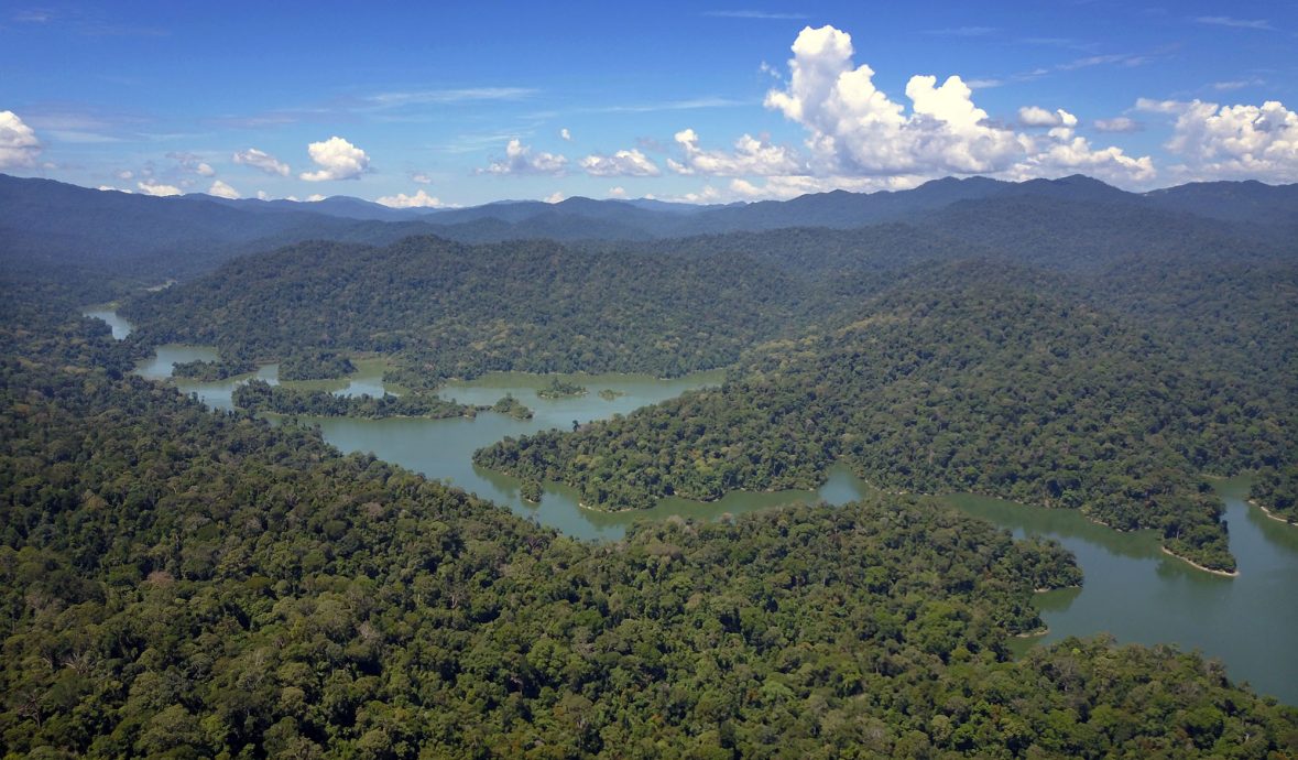全国版／柏隆皇家公园老虎保育区 获国际性认证地位