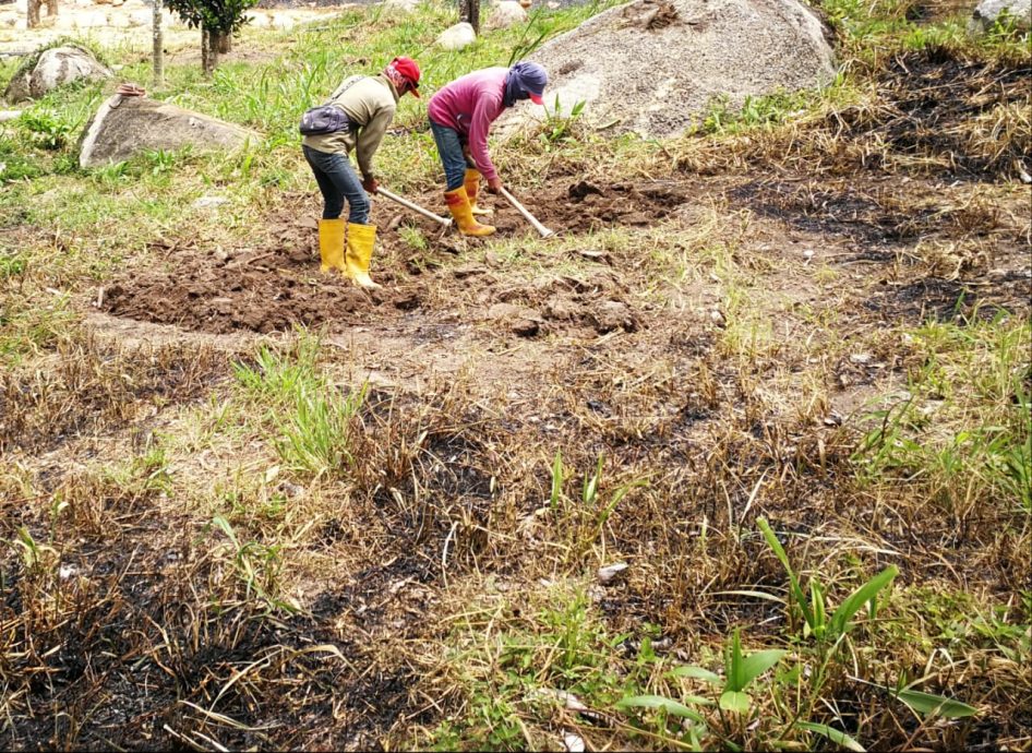 全国：天气太热，连武吉丁宜也热气逼人