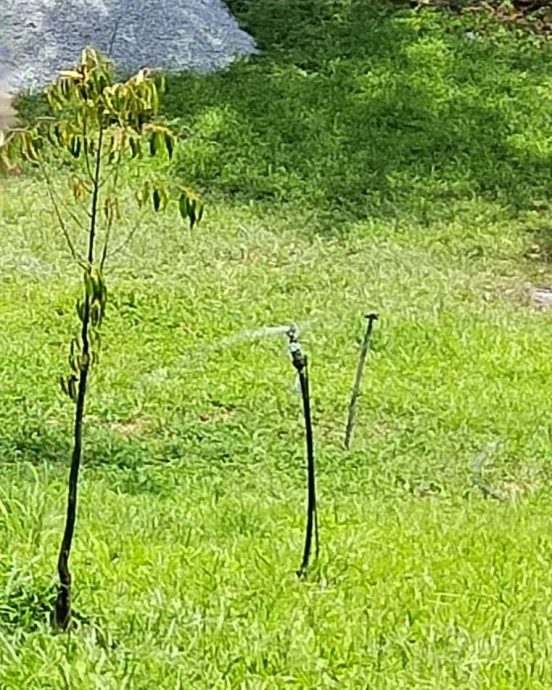 全国：天气太热，连武吉丁宜也热气逼人