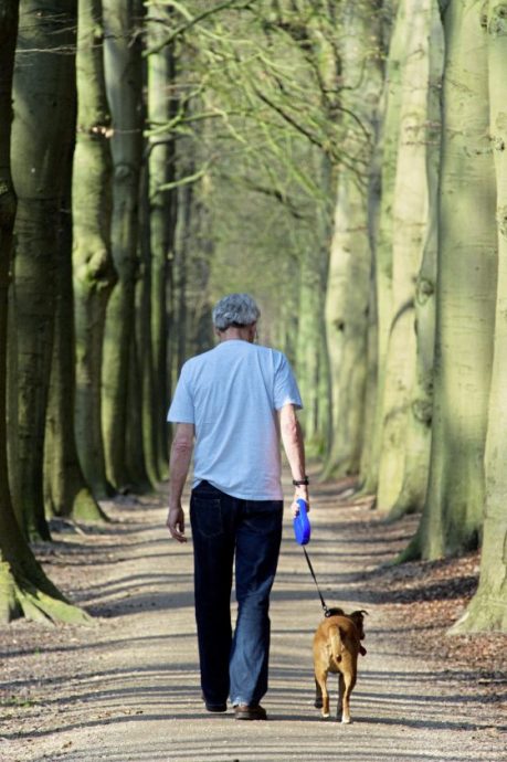 养宠物的8个理由,你属于哪一种?