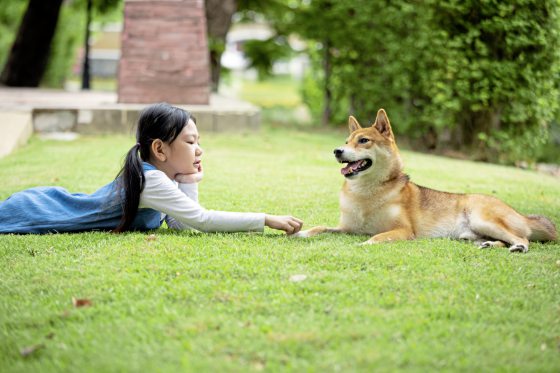 养宠物的8个理由,你属于哪一种?