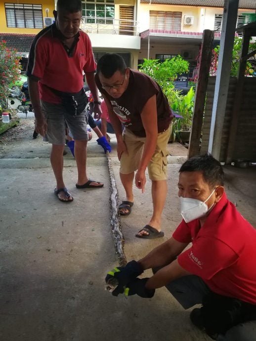 减少巡逻捉贼防范罪案 治安组织多元角色续献力
