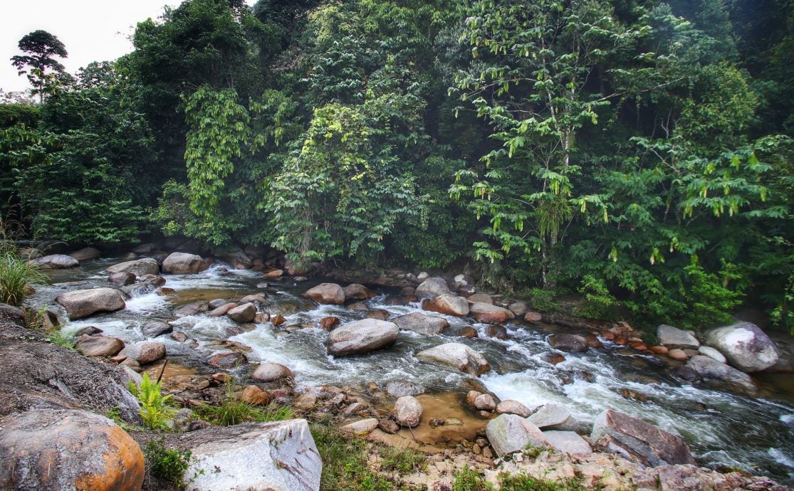 副财长:霹300兆瓦水力发电站项目 未来21年料逾120亿收入