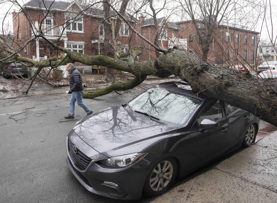 加拿大冰暴已致3人死亡 数十万用户仍断电