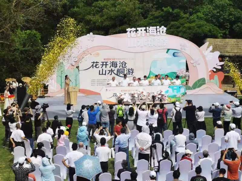 厦门天竺山桐花旅游节开幕 「四万株千年桐」争艳