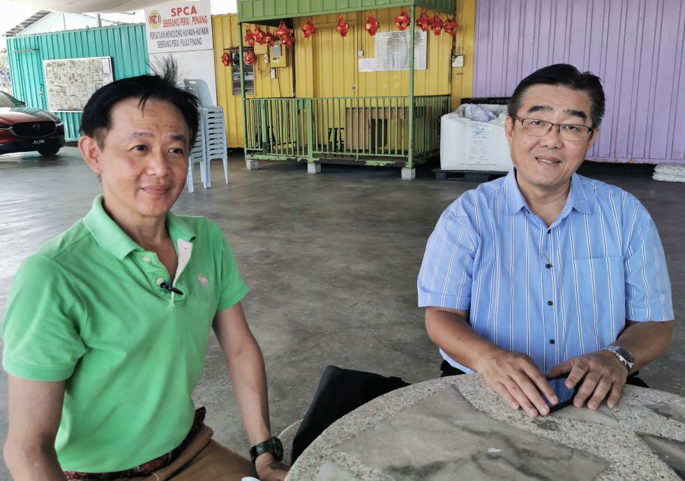 (大北马)毒死狗事件也在大山脚发生