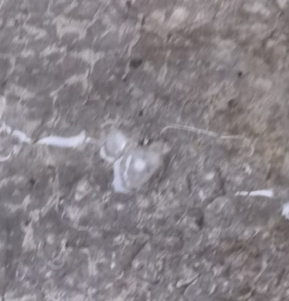 大都会/狂风暴雨夹带冰雹袭击巴生圣淘沙
