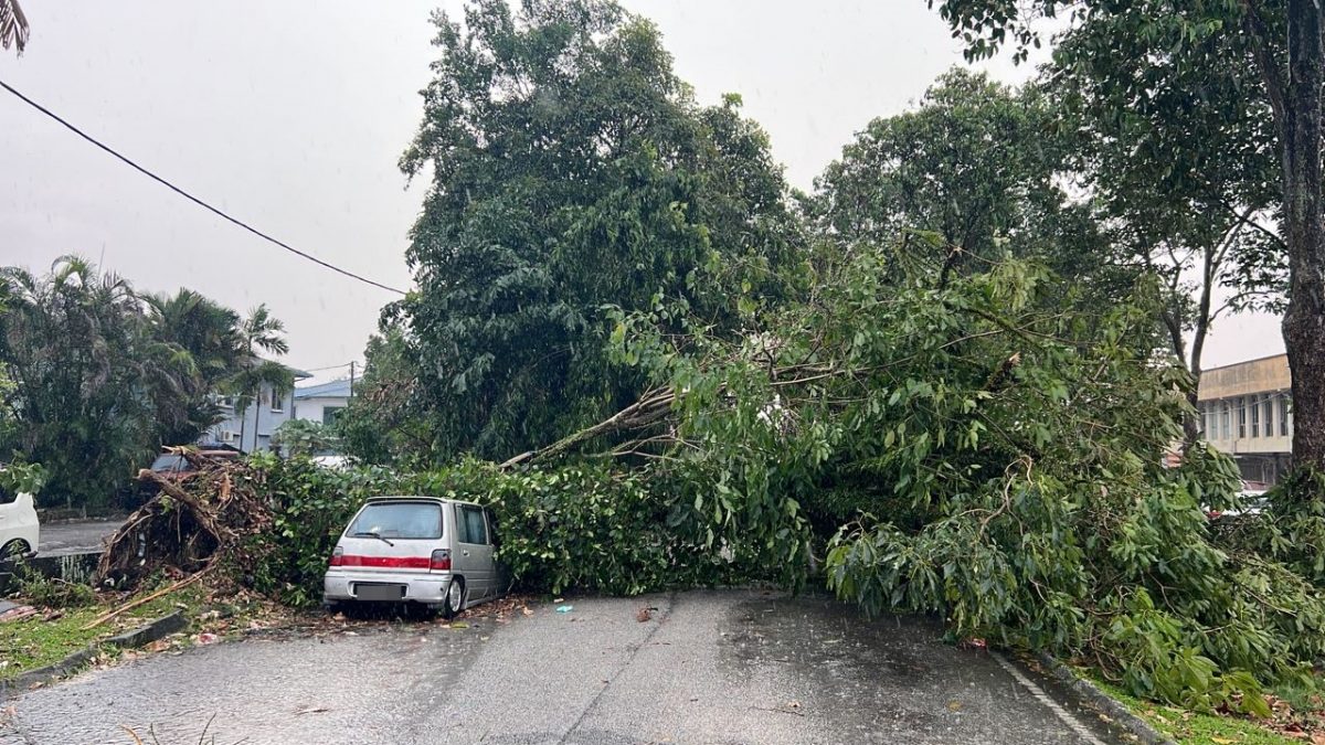 大都会/狂风暴雨夹带冰雹袭击巴生圣淘沙