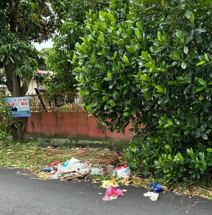 大都会/ME02头/社区处处垃圾，旅居国人返马看不过眼下场清理！
