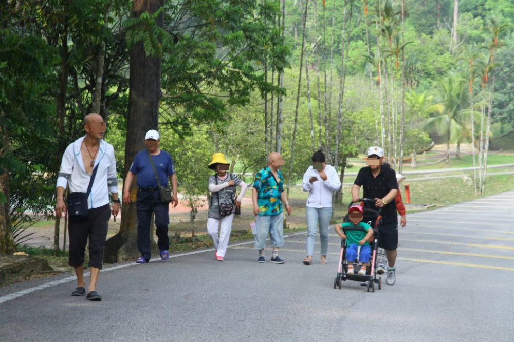 大都会/ME03头/-沙亚南国家植物园游客败兴而归