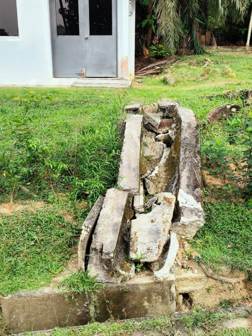 大都会/ME03头/-沙亚南国家植物园游客败兴而归