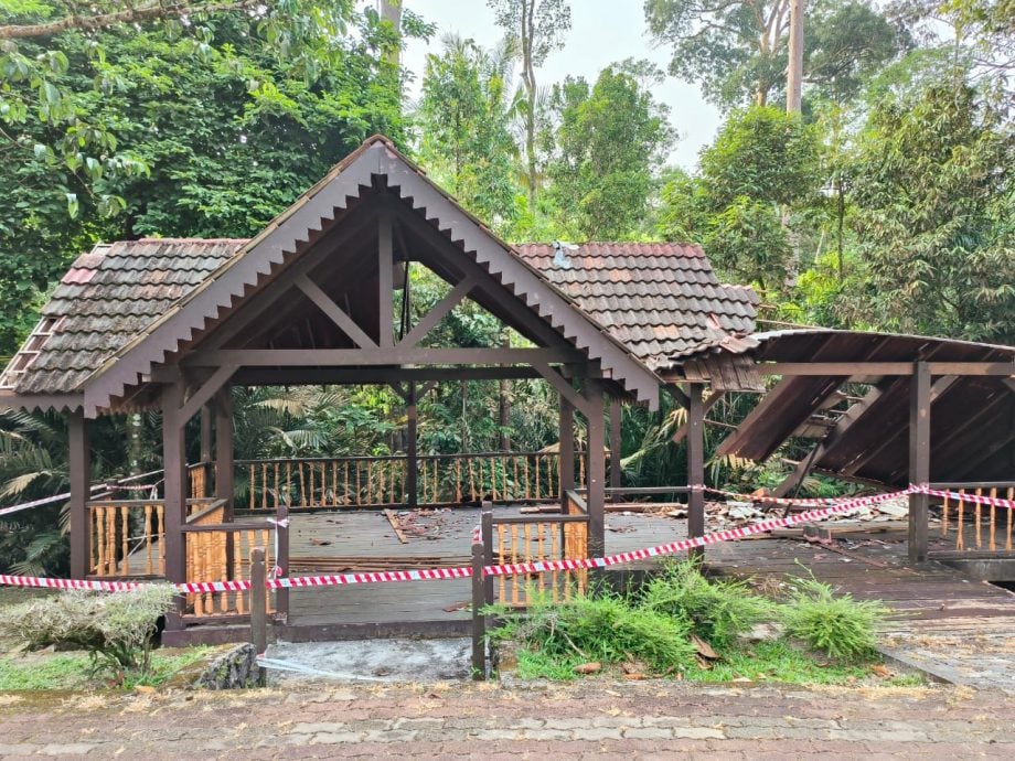 大都会/ME03头/-沙亚南国家植物园游客败兴而归