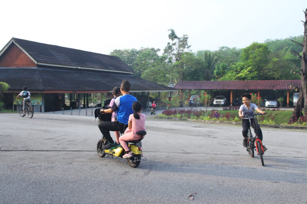 大都会/ME03头/-沙亚南国家植物园游客败兴而归