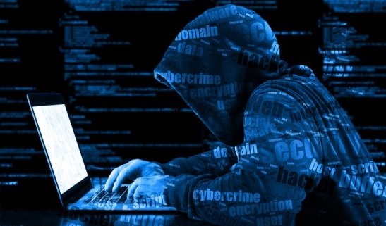 大马人个资被拍卖给黑客 