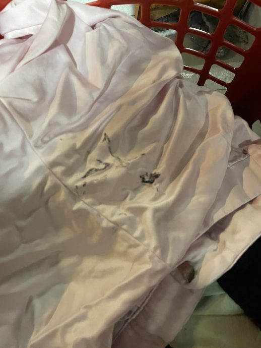 女子抱怨烘干机溶了内衣裤 网民反讥“第一次用?”