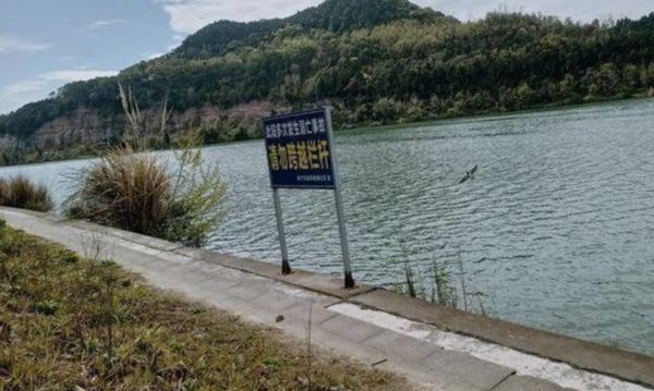 女郎跳江轻生获救 救人3少年却全溺毙