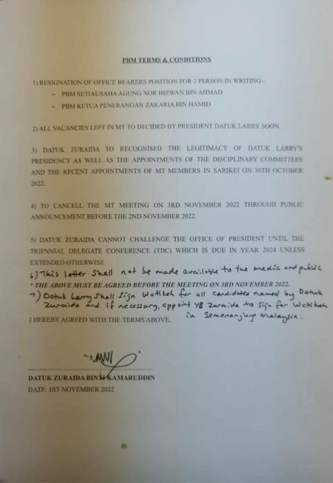 孙伟瑄:祖莱达签署文件 “承认我为全民党主席”