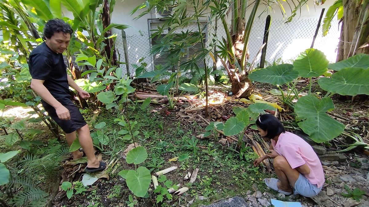 **已签发**柔：封面：【善心美事】：热衷社区艺术活动，李成钢陈秀君落户新村打造文化空间