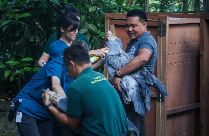 *已签发*柔:狮城二三事:逾2000只飞禽 迁入狮城飞禽公园