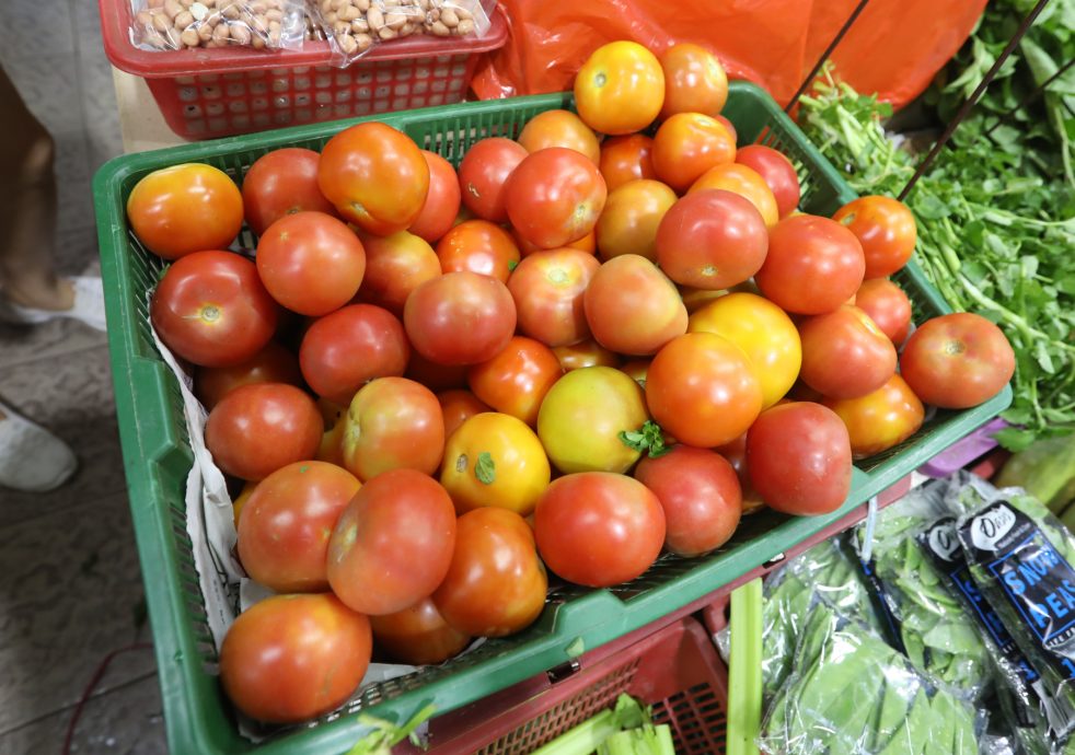 **已签发**柔:第三版头条:【特稿】:菜跌价未引起增购潮,菜贩:珍惜农作可多吃菜