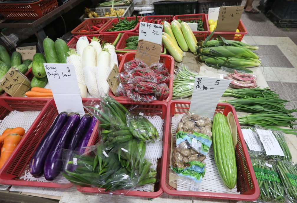 **已签发**柔:第三版头条:【特稿】:菜跌价未引起增购潮,菜贩:珍惜农作可多吃菜