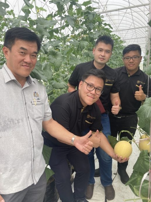 **已签发**柔:第三版:“把年轻人留在三合港,活化社区”陈宗对种植金蜜瓜计划表称赞