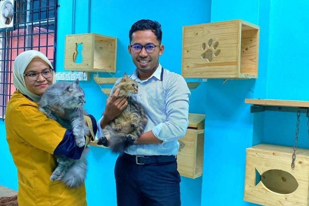 开斋节期间 宠物酒店订单爆满!