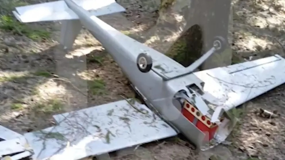 德媒指乌出动无人机 装满炸药图暗杀普汀