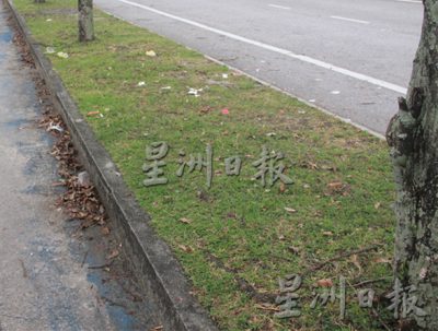 拉曼大学西湖悠闲区路旁美景,近日乏人打理下 路边满布枯树枝与垃圾
