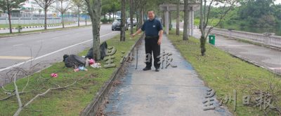 拉曼大学西湖悠闲区路旁美景,近日乏人打理下 路边满布枯树枝与垃圾