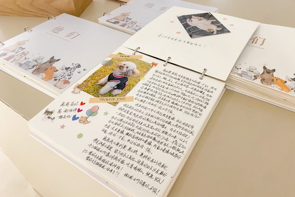 拼盘/为宠物举办葬礼 京城宠主重视爱宠“后事”