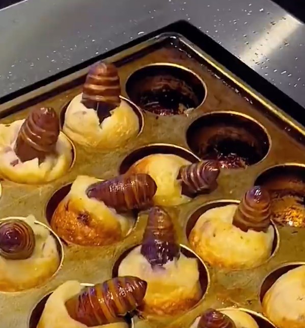 拼盘/暗黑料理蚕蛹版章鱼烧 网民:像从眼珠钻出一条虫