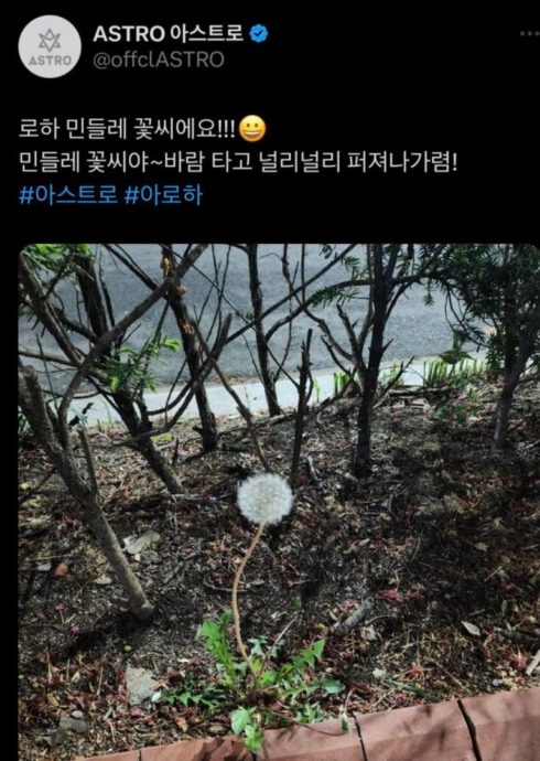 文彬骤逝掀中网骂战 不满韩艺人凭什么登热搜