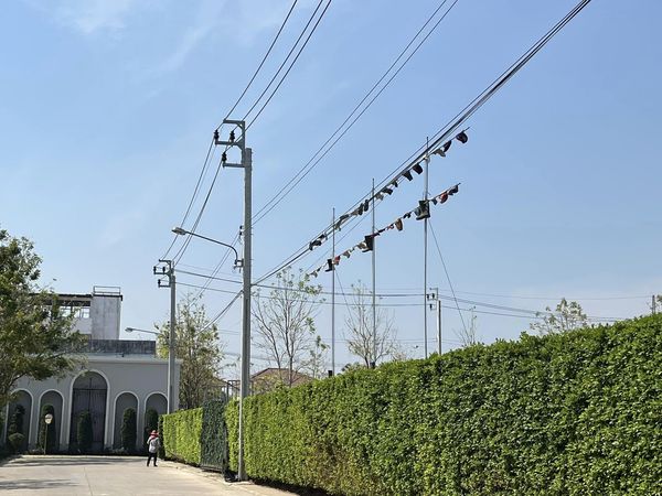 有片)高级社区施工太吵! 旁边地主“高挂30件女生三角裤”抗议