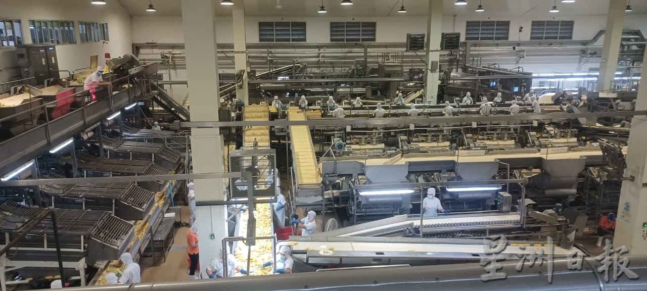 本报特派 清迈食品科技媒体之行（文1/3）