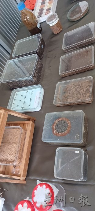 本报特派 清迈食品科技媒体之行（文1/3）