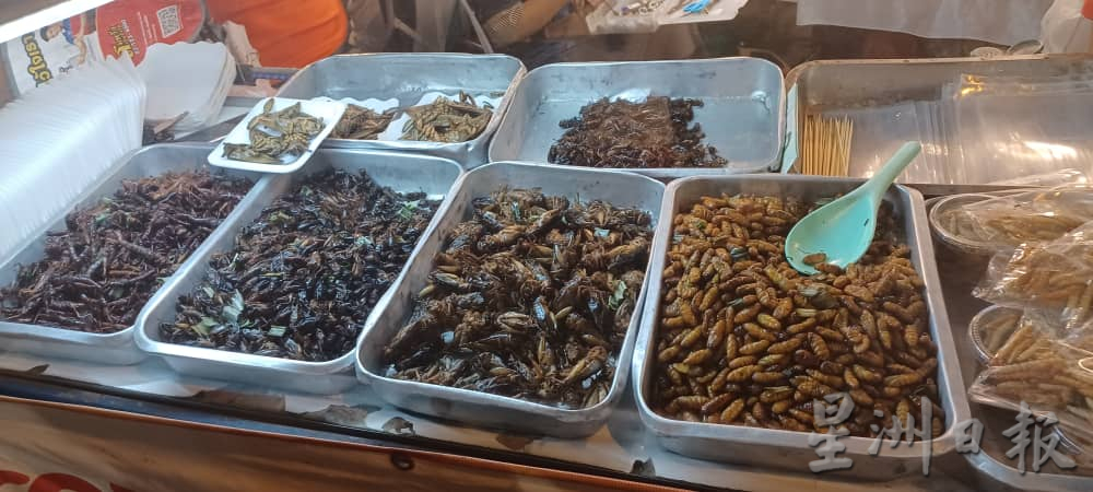 本报特派 清迈食品科技媒体之行（文1/3）