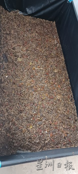 本报特派 清迈食品科技媒体之行（文1/3）