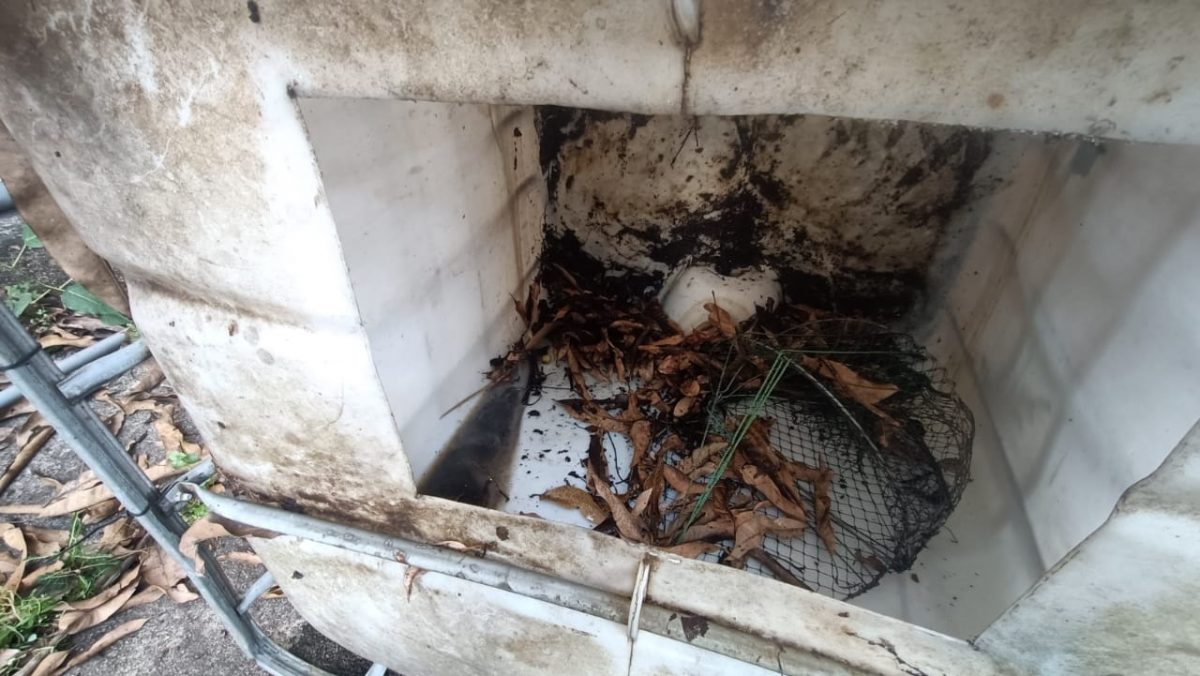 李富豪：比去年多近1倍 巴生县蚊症攀升