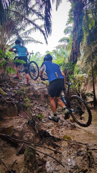 柔：时尚记事簿（4月22日刊）：越野骑行，挑战自我乐趣多