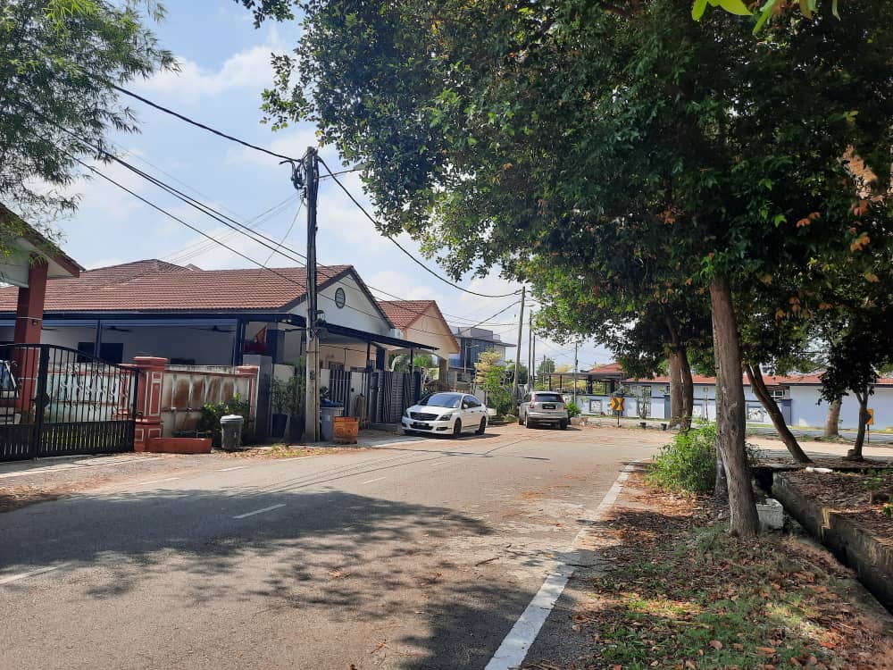 柔:民生投诉:焦点社区:麻坡新加旺新家园花园第二区 茂盛树木挡路灯 落叶好烦人 居民盼市会速派员清理