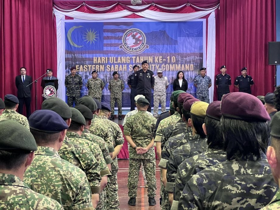 沙东仍受邻国激进武装分子威胁