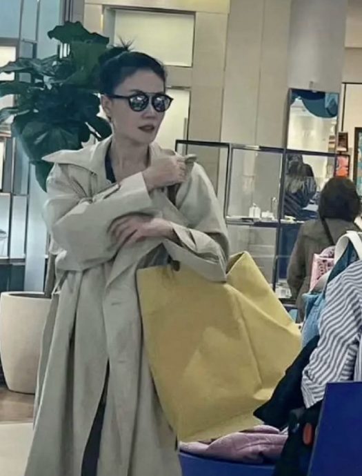 王菲巴黎被野生捕获　手拿19令吉小黄包仍气场强大	