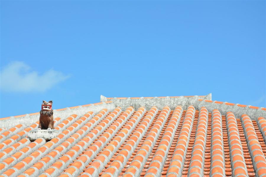 班机延误 地勤人员「画2只风狮爷」致歉 寓意超感人