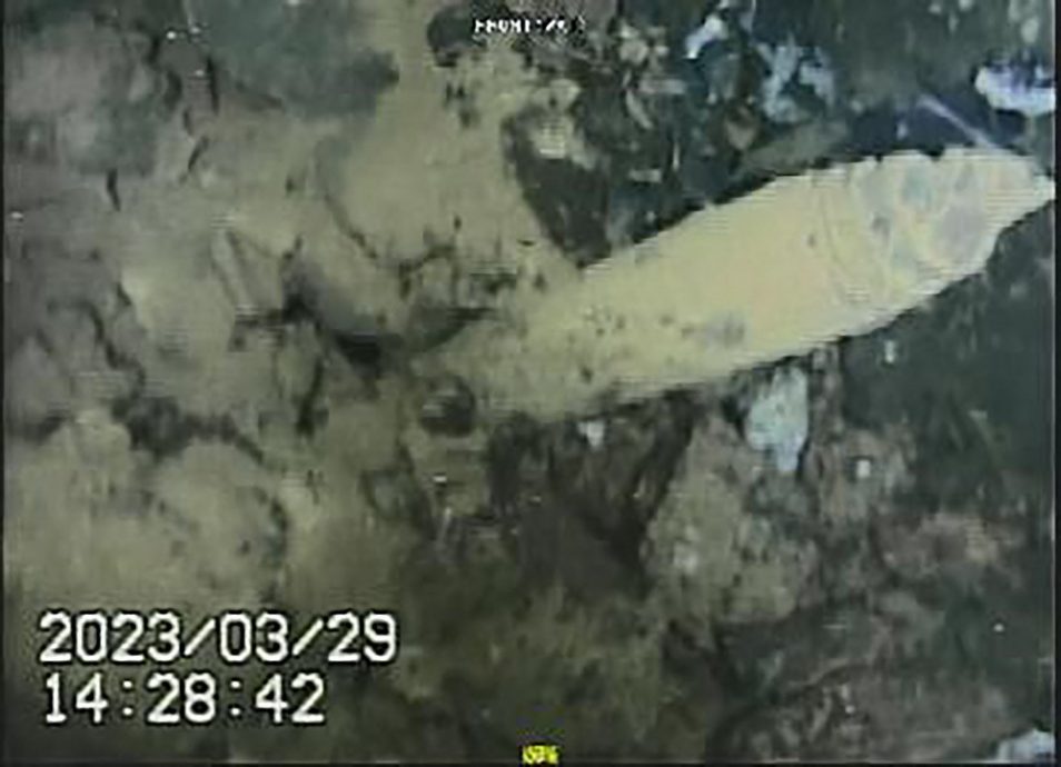 看世界/东电公司公布视频 显示福岛核电站反应堆受损严重