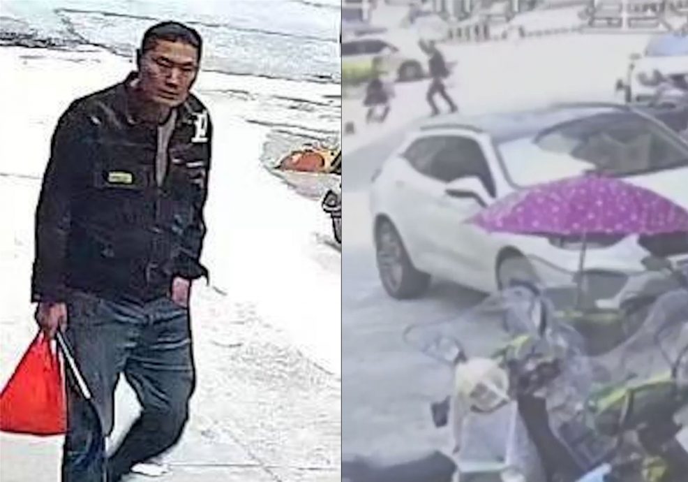 看世界/男子手持大镰刀街头开杀 砍伤3童 警当场击毙