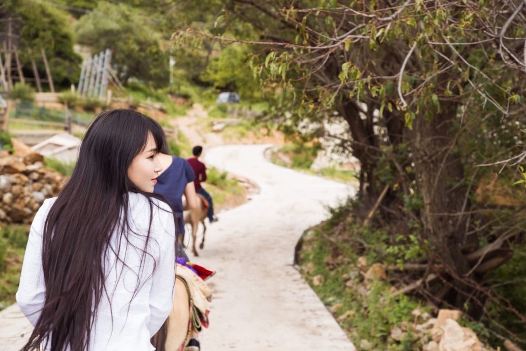 网红李子柒停止更新一年多 Youtube月收入仍达50万