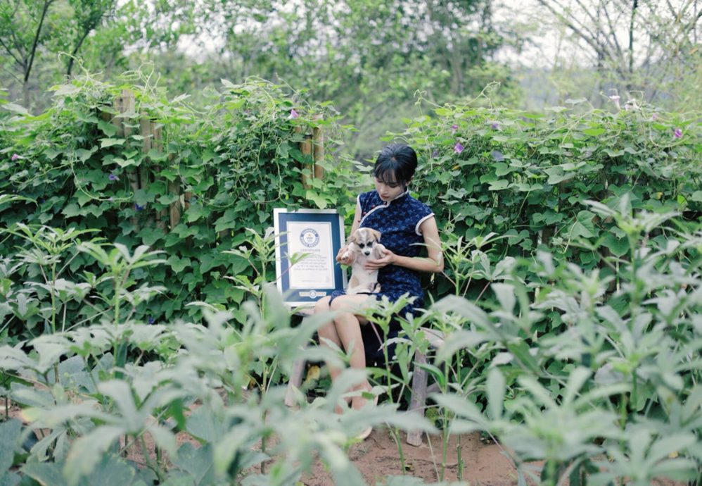 网红李子柒停止更新一年多 Youtube月收入仍达50万