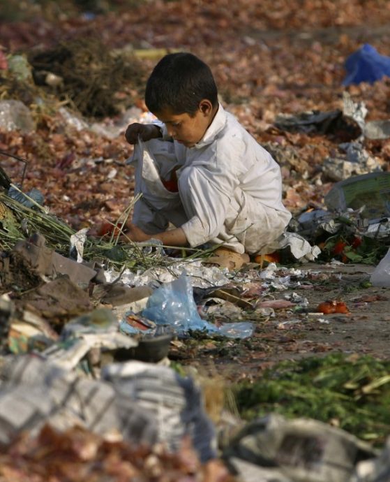 美国800多家公司非法雇佣童工 有屠宰场让100多名儿童通宵工作